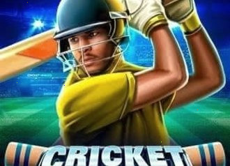 Cricket Heroes